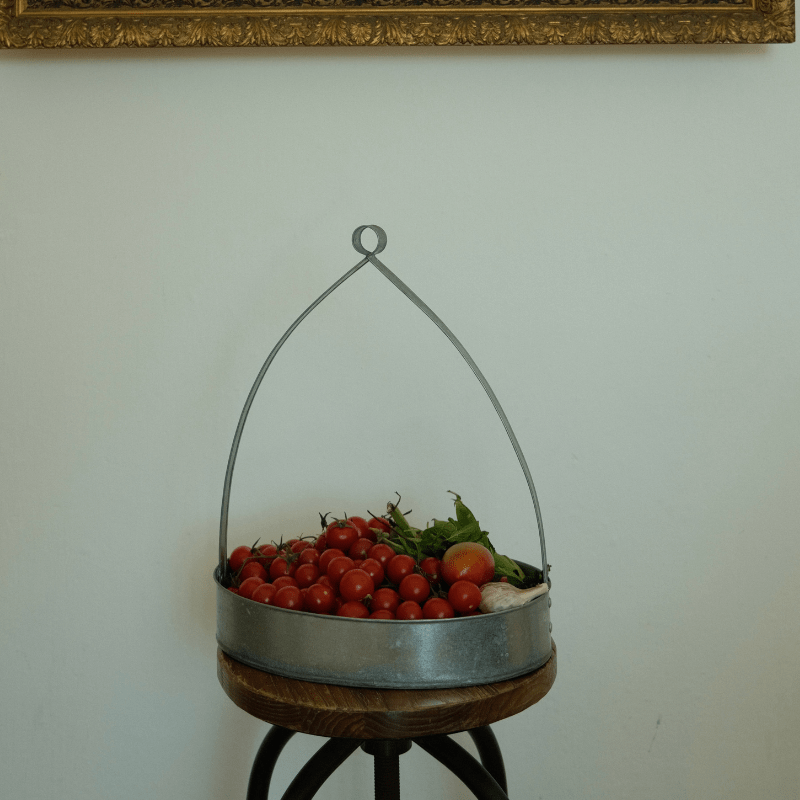 Galvanised Steel Tray With High Handle