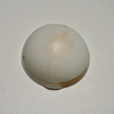 base of leopard porcelain ring dish