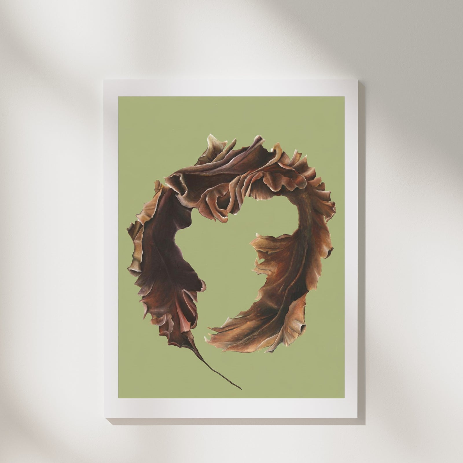 Sugar Kelp Fine Art Print