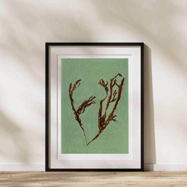 Bladder Wrack Fine Art Print