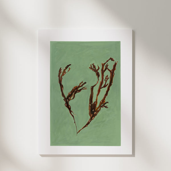 Bladder Wrack Fine Art Print