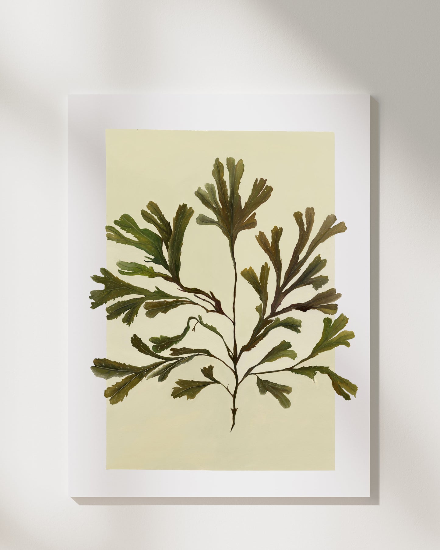 Serated Wrack Fine Art Print
