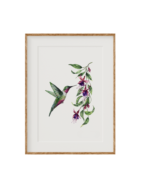 Hummingbird Fine Art Print