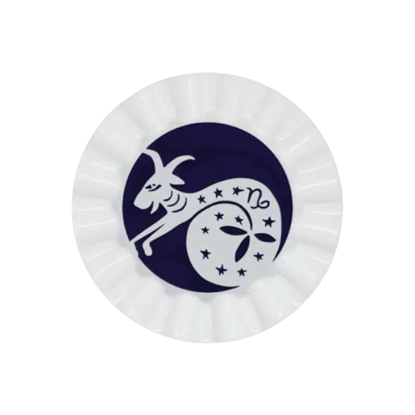 Viso Zodiac Key Tray Capricorn