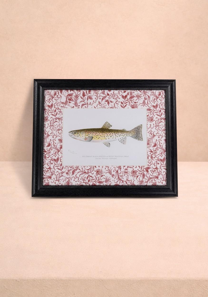 Fish II Framed Print- A Quiet Classic with Personality