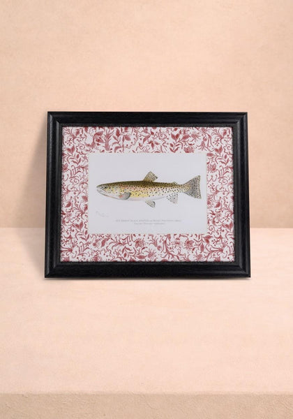 Fish II Framed Print- A Quiet Classic with Personality
