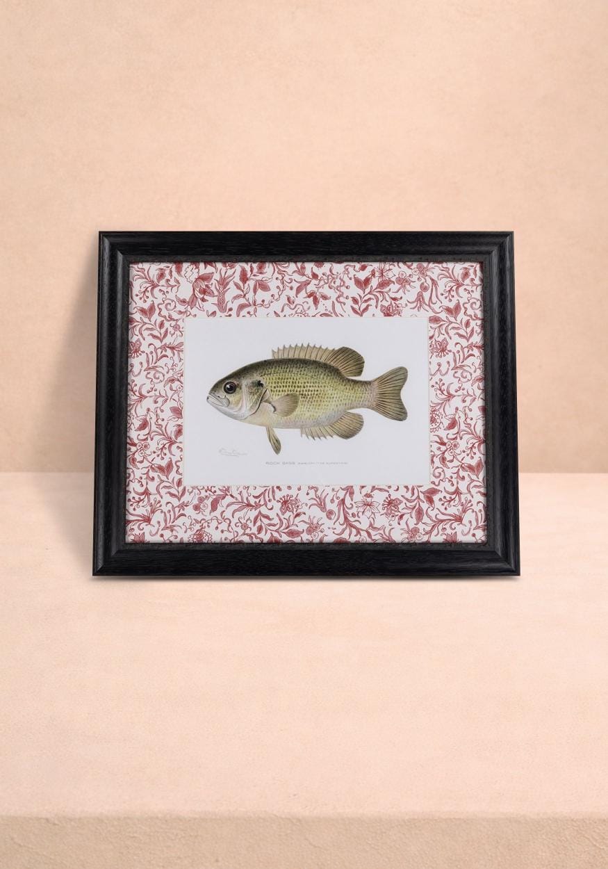 Fish IV Framed Print British, and Just a Bit Brilliant