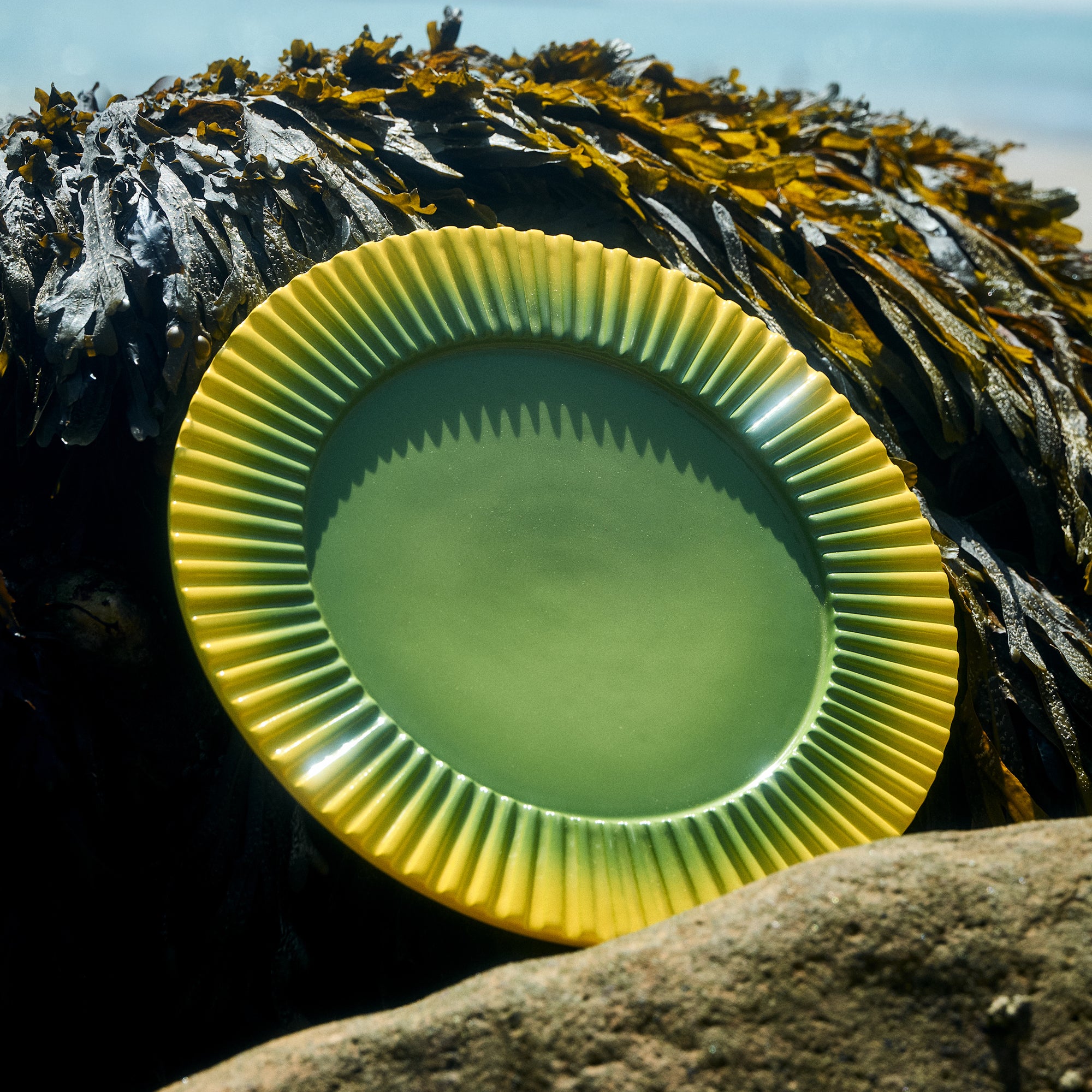 Ripple Dining Plate - Verdure