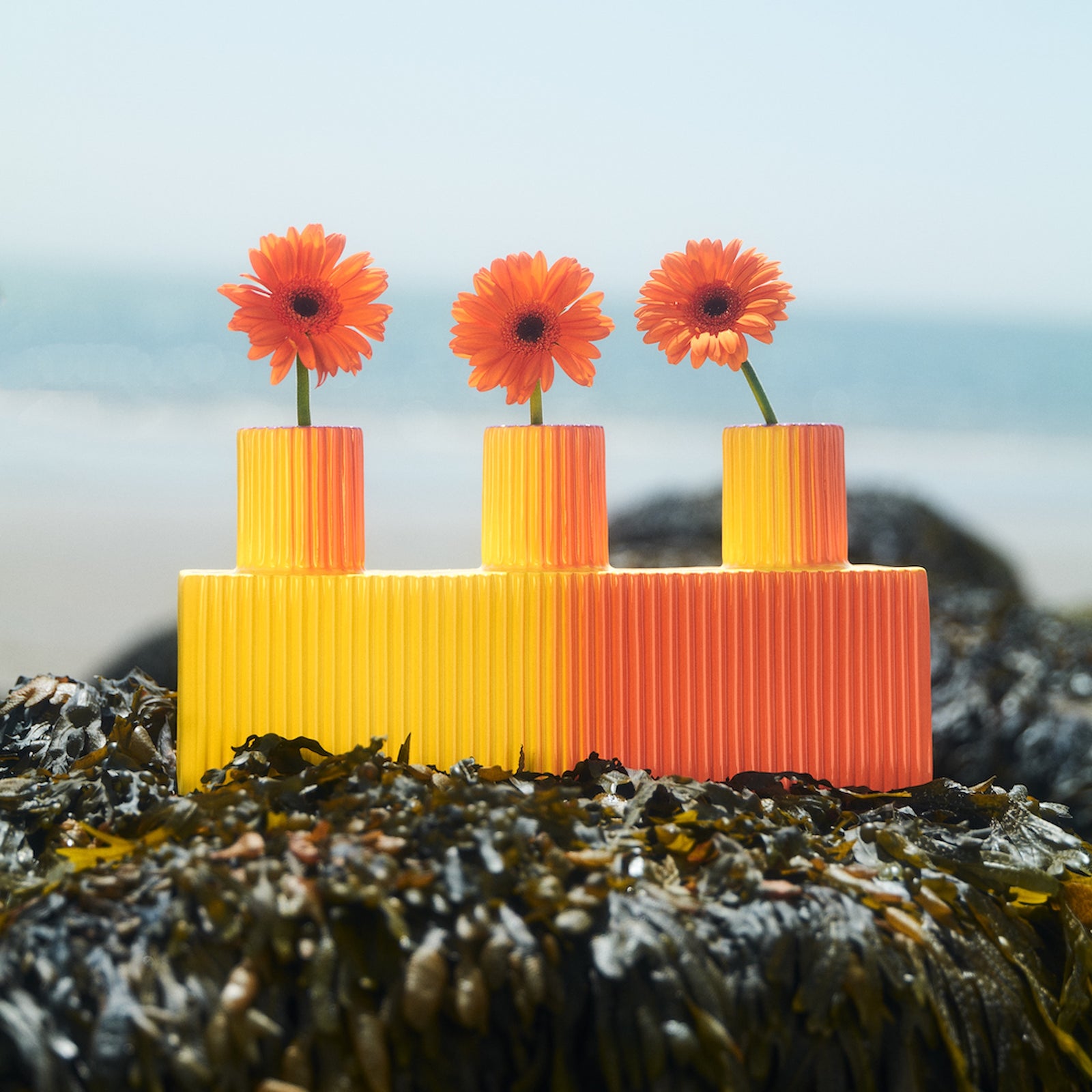 Ripple Vase Sunset