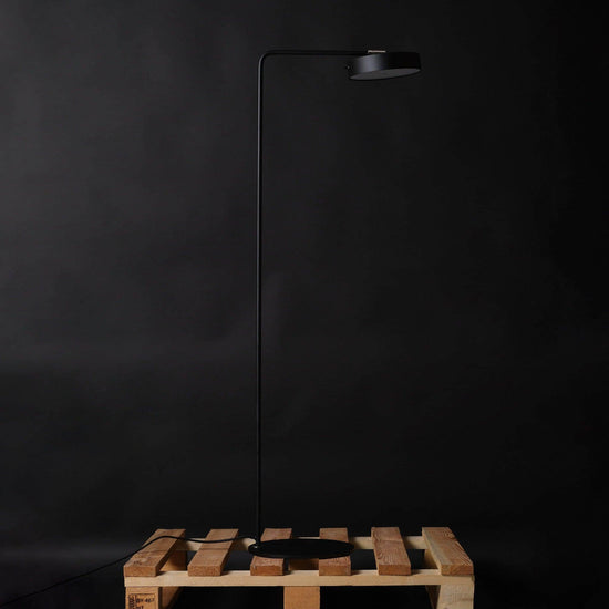 James Floor Lamp black steel