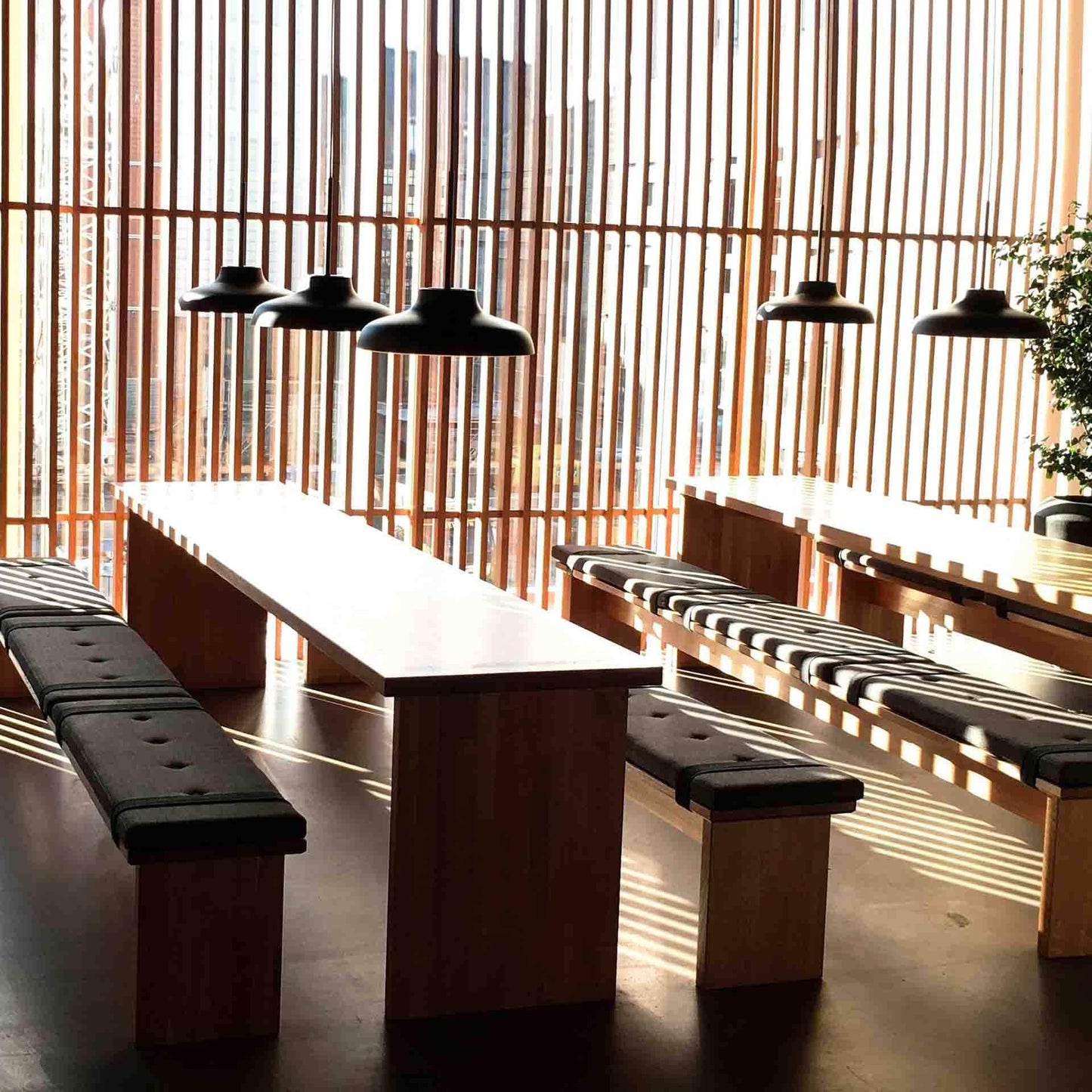 Bolero Pendant Light