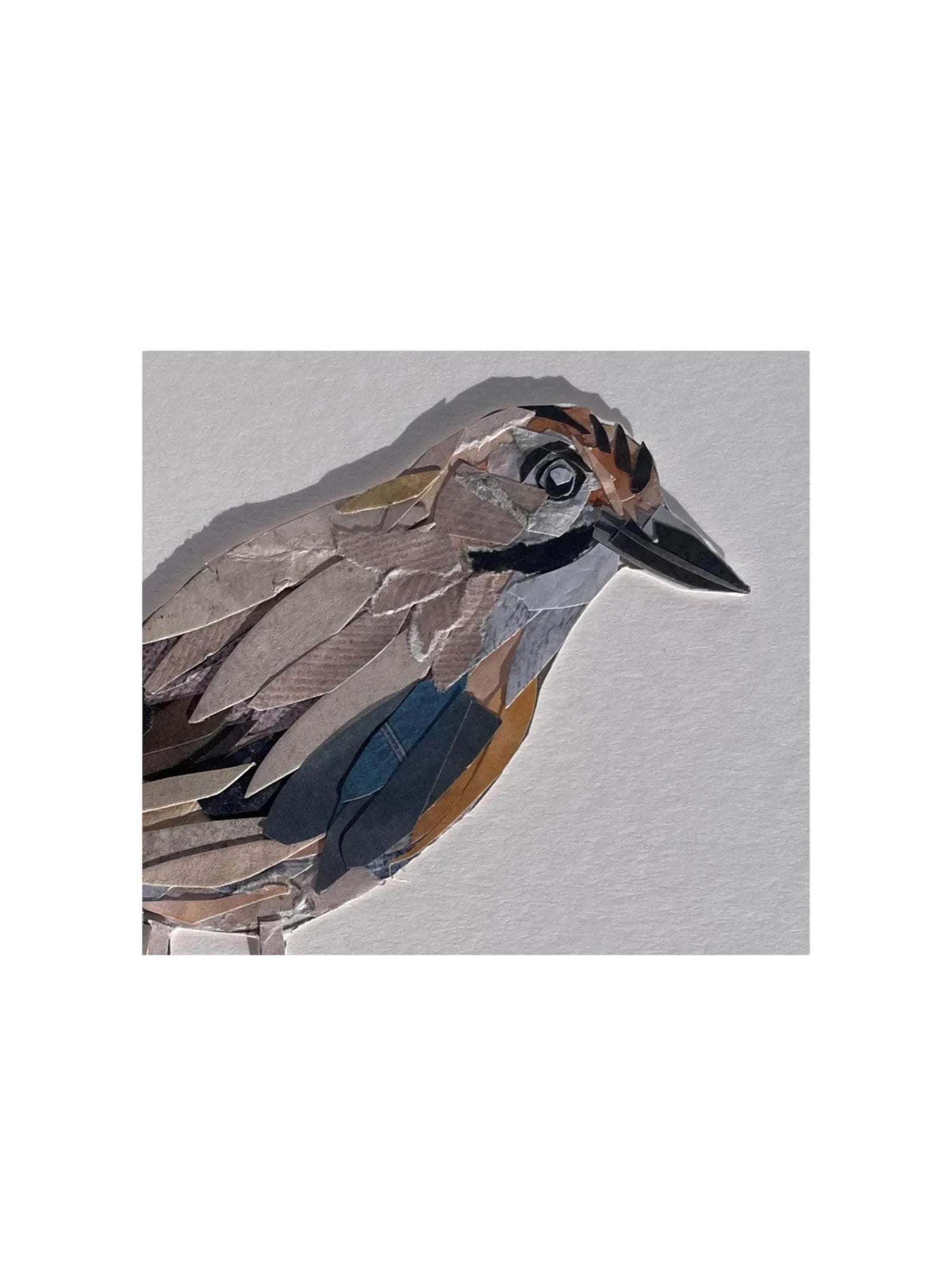 Original Blue Jay Bird Collage Art Piece
