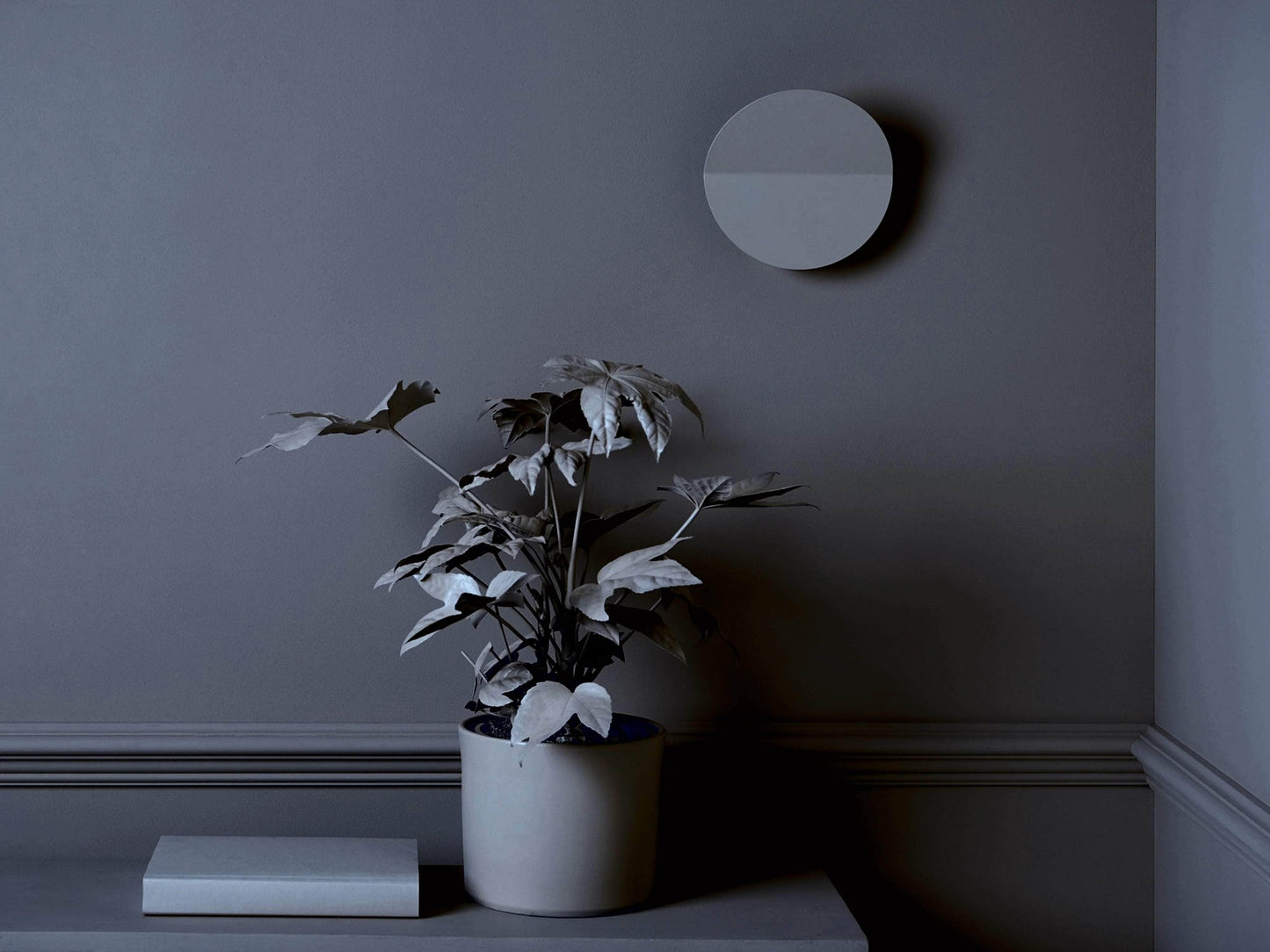 Charcoal grey diffuser wall light