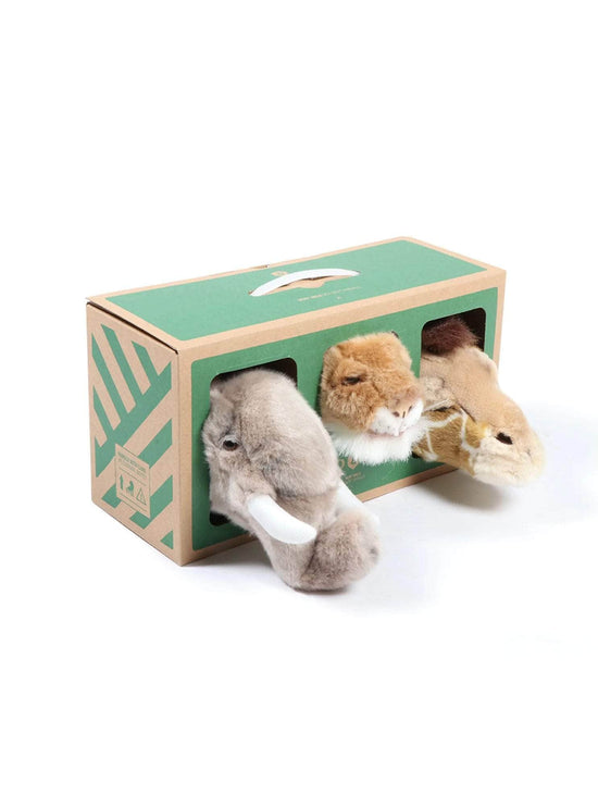 Safari Box of Small Animal Heads