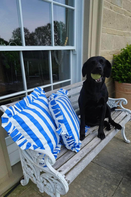 Blue and White Ruffle Detail Cushion | Rectangle