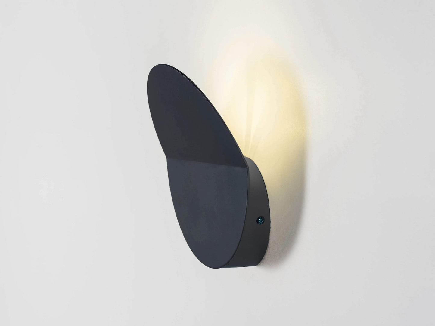 Charcoal grey diffuser wall light