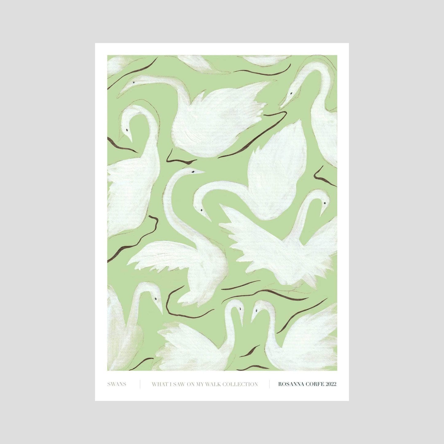 A3 - Swans Print