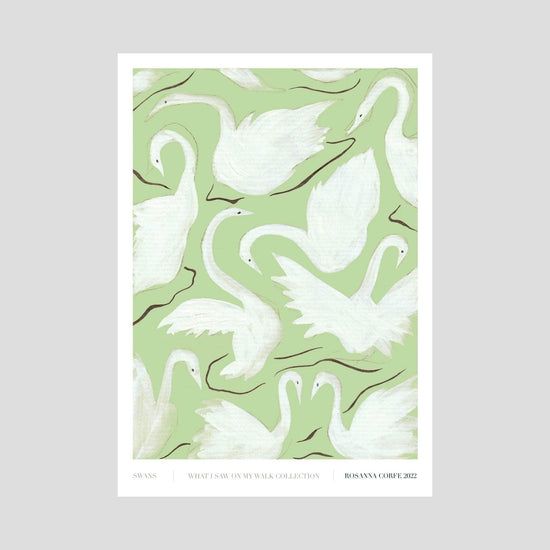 A3 - Swans Print