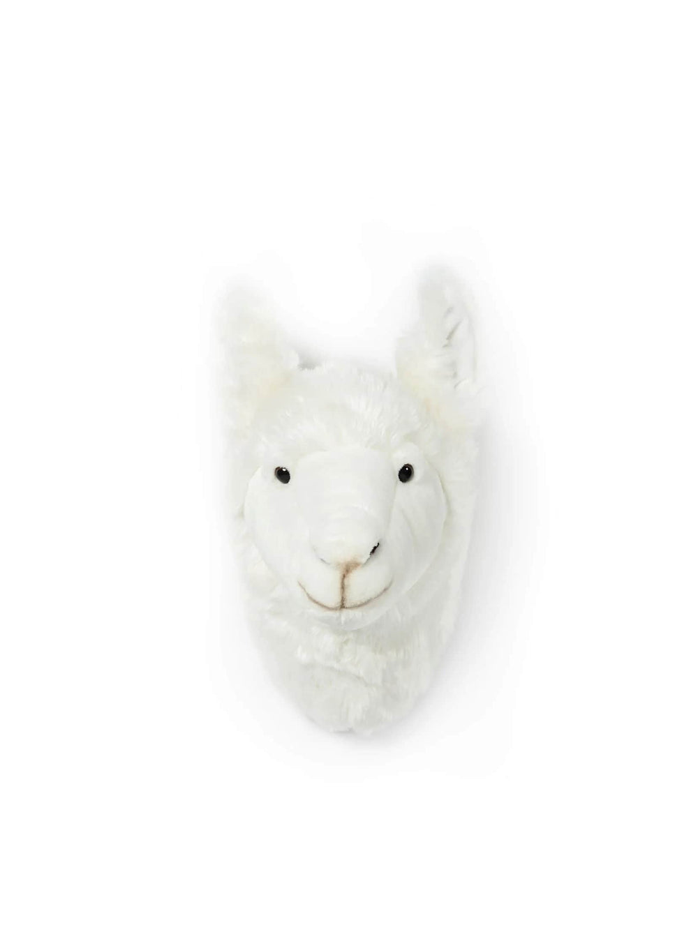 Lily the Llama Wall Mounted Plush Head