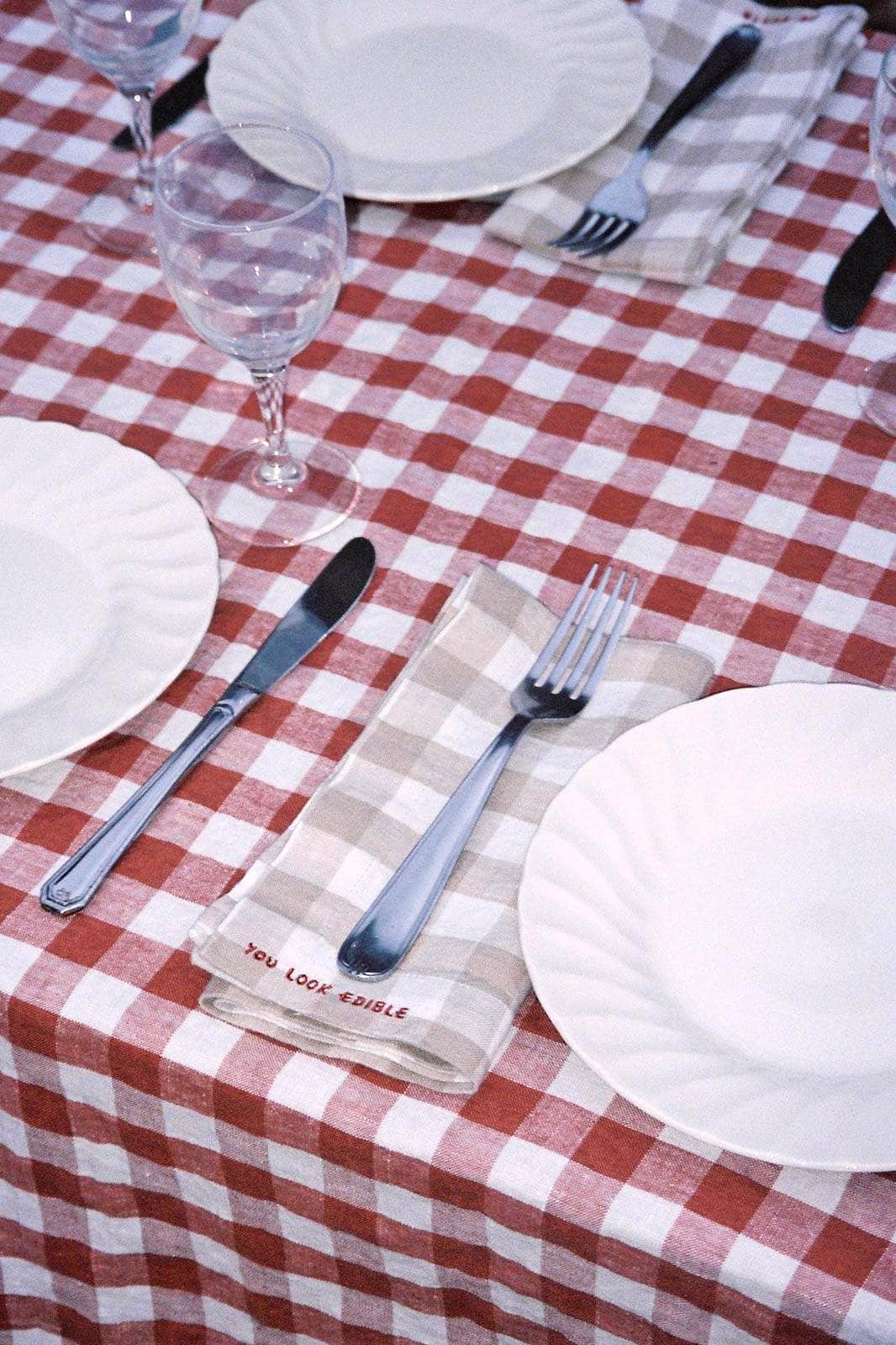 Gingham Gratitude Napkins - Set of 4
