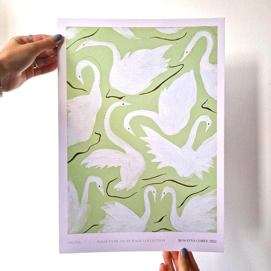 A3 - Swans Print