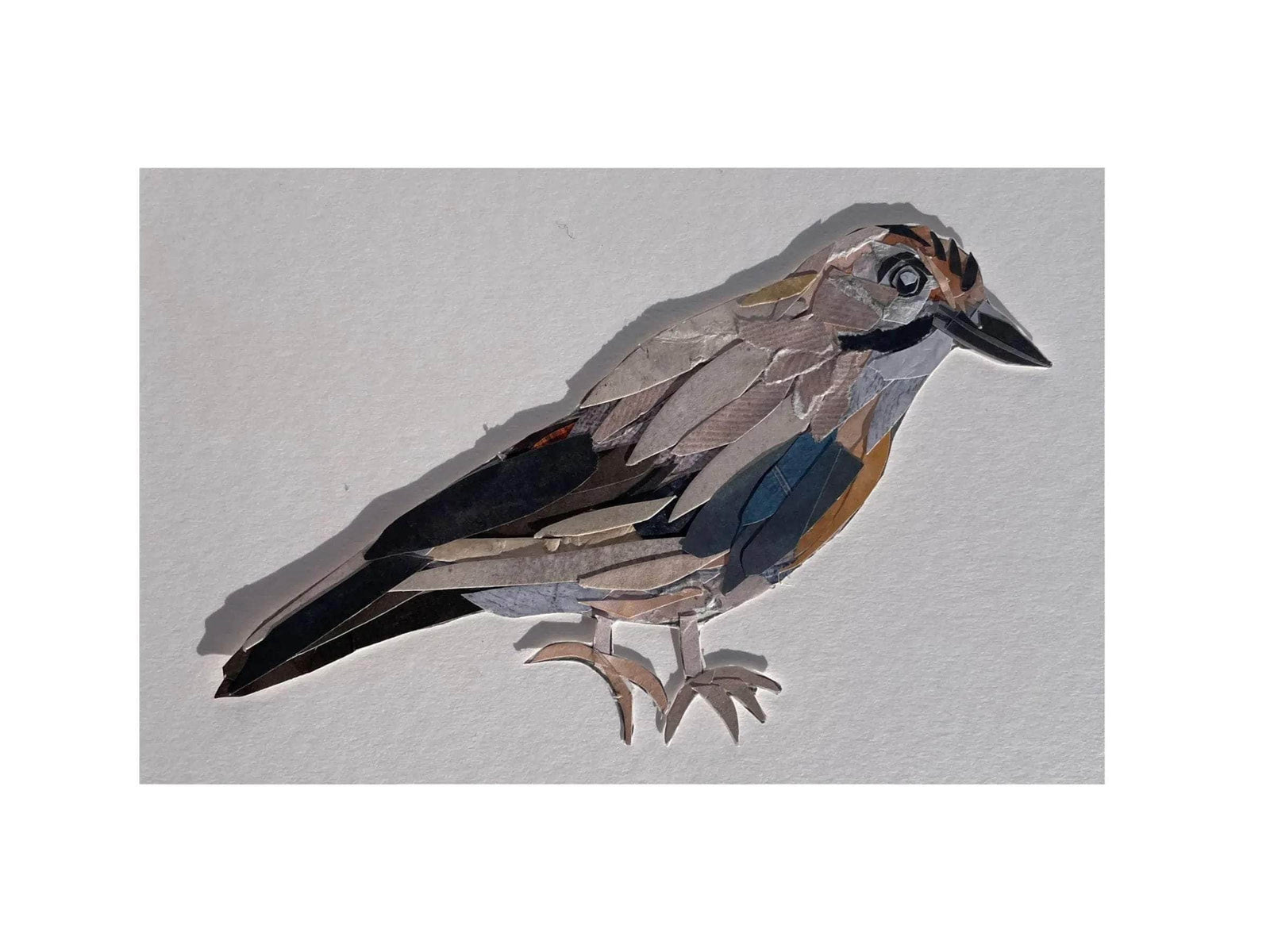 Original Blue Jay Bird Collage Art Piece