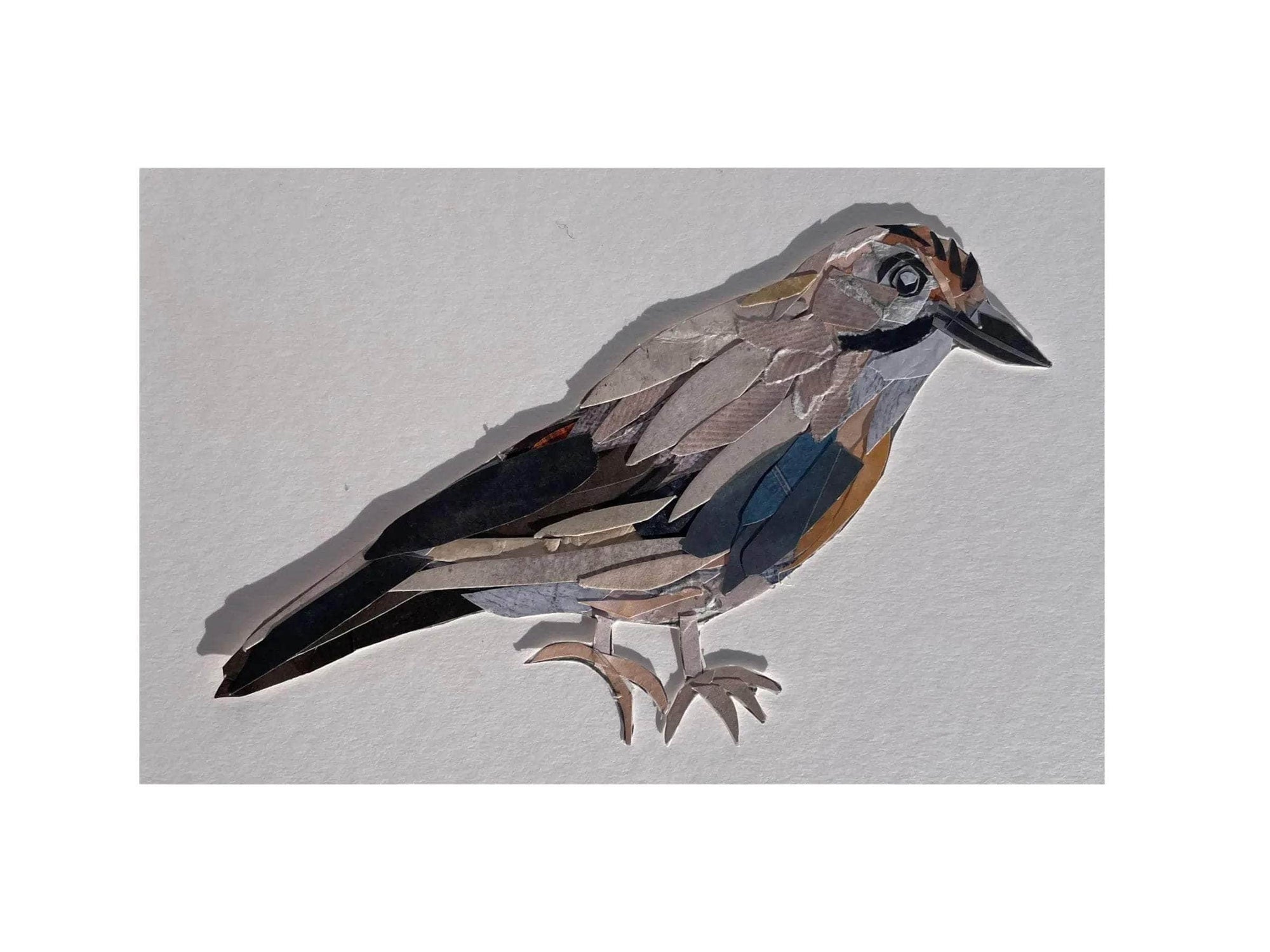 Original Blue Jay Bird Collage Art Piece