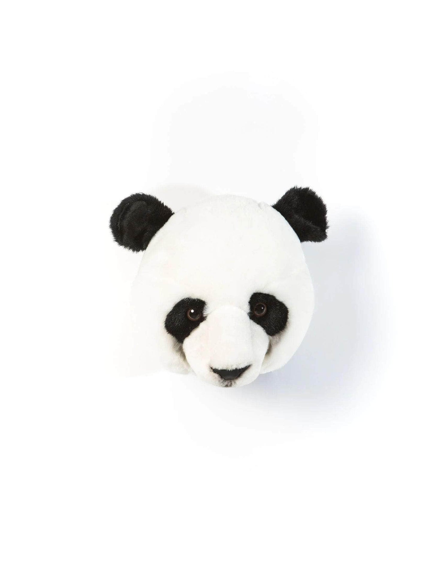 Thomas the Panda Wall Mounted Plush Head