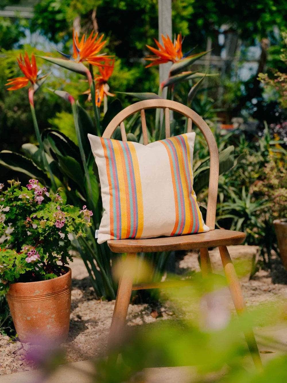 Piñata Stripe Cushion