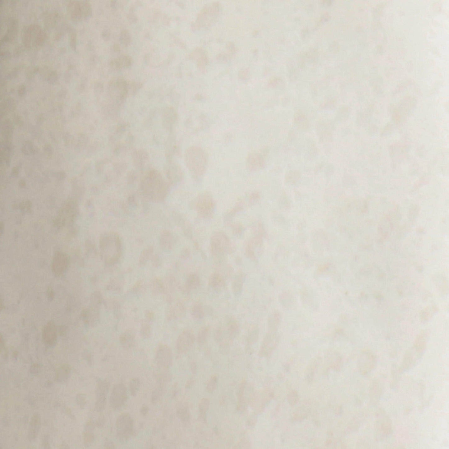Gemini Vase