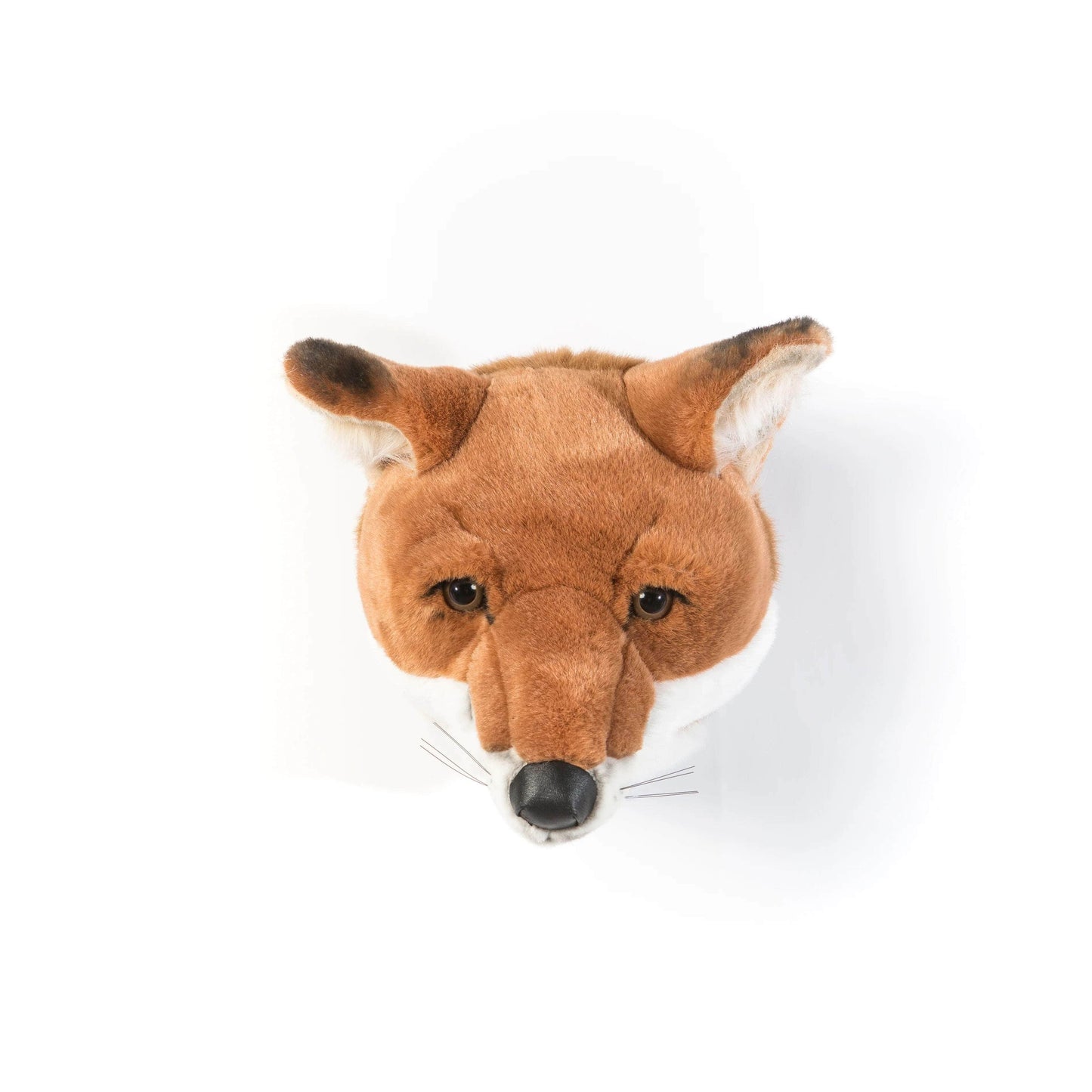 Louis the Fox Wall Mounted Plush Head