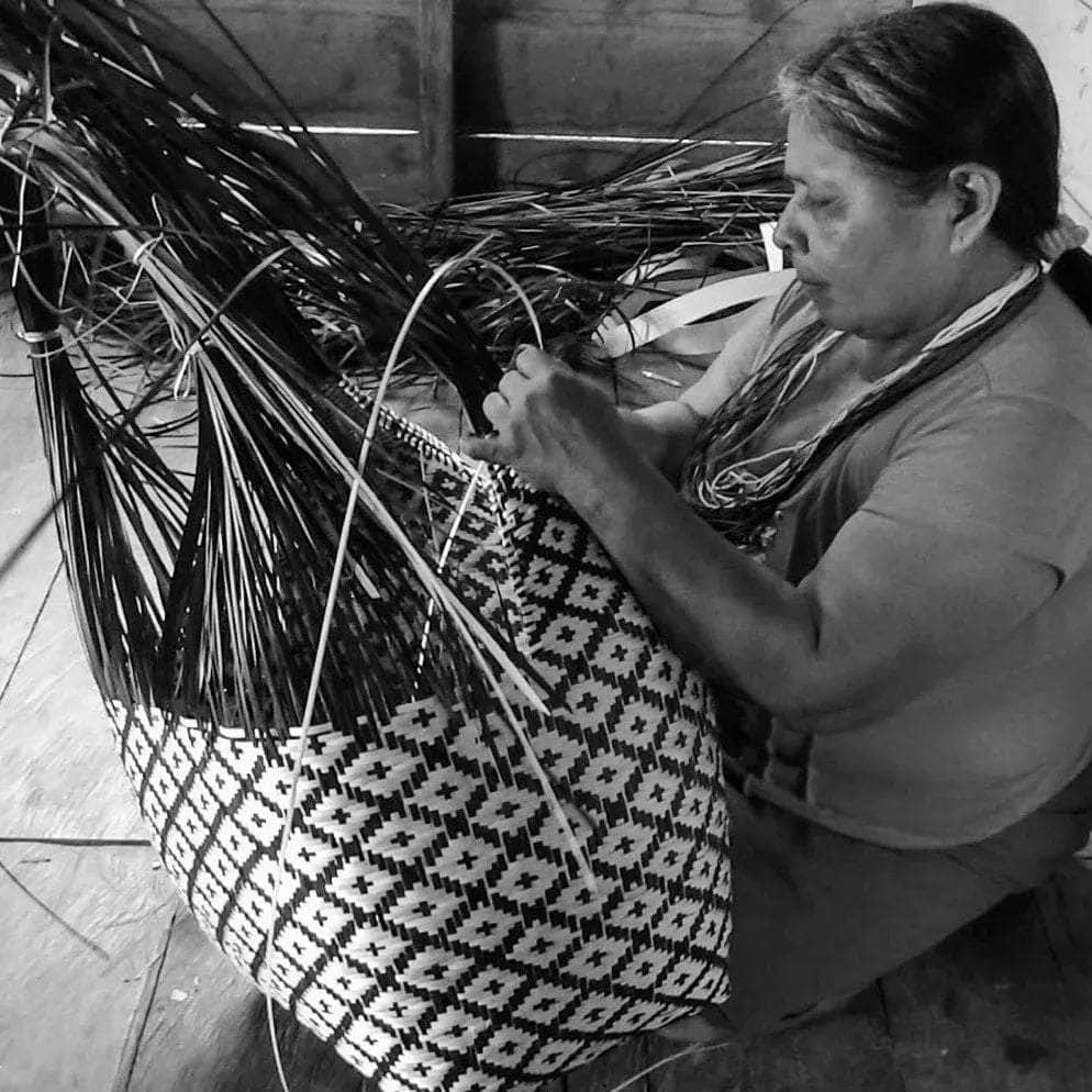 Guapi Cuatro Tetas Basket | Mono