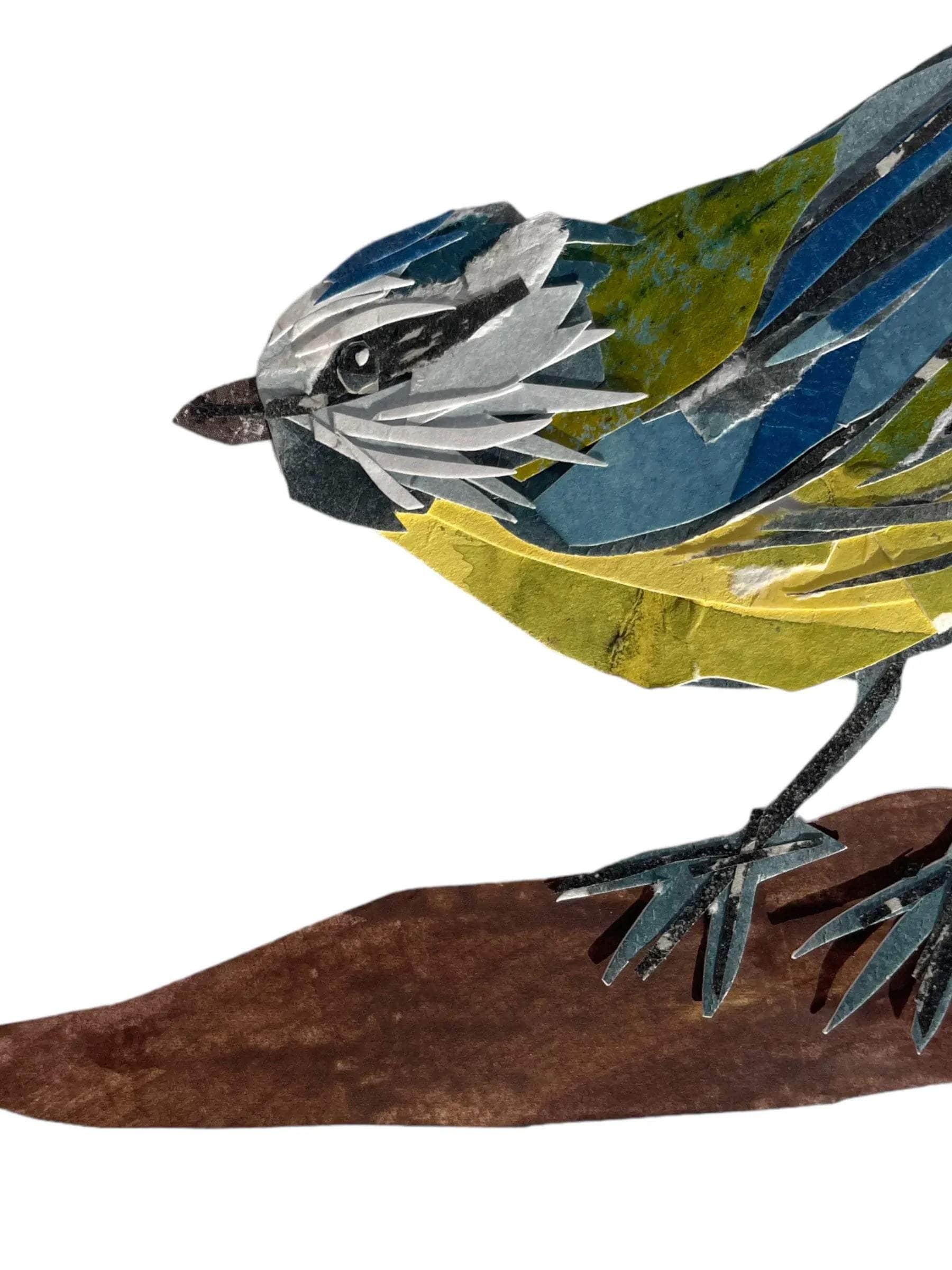 Original Blue Tit Bird Collage Art Piece