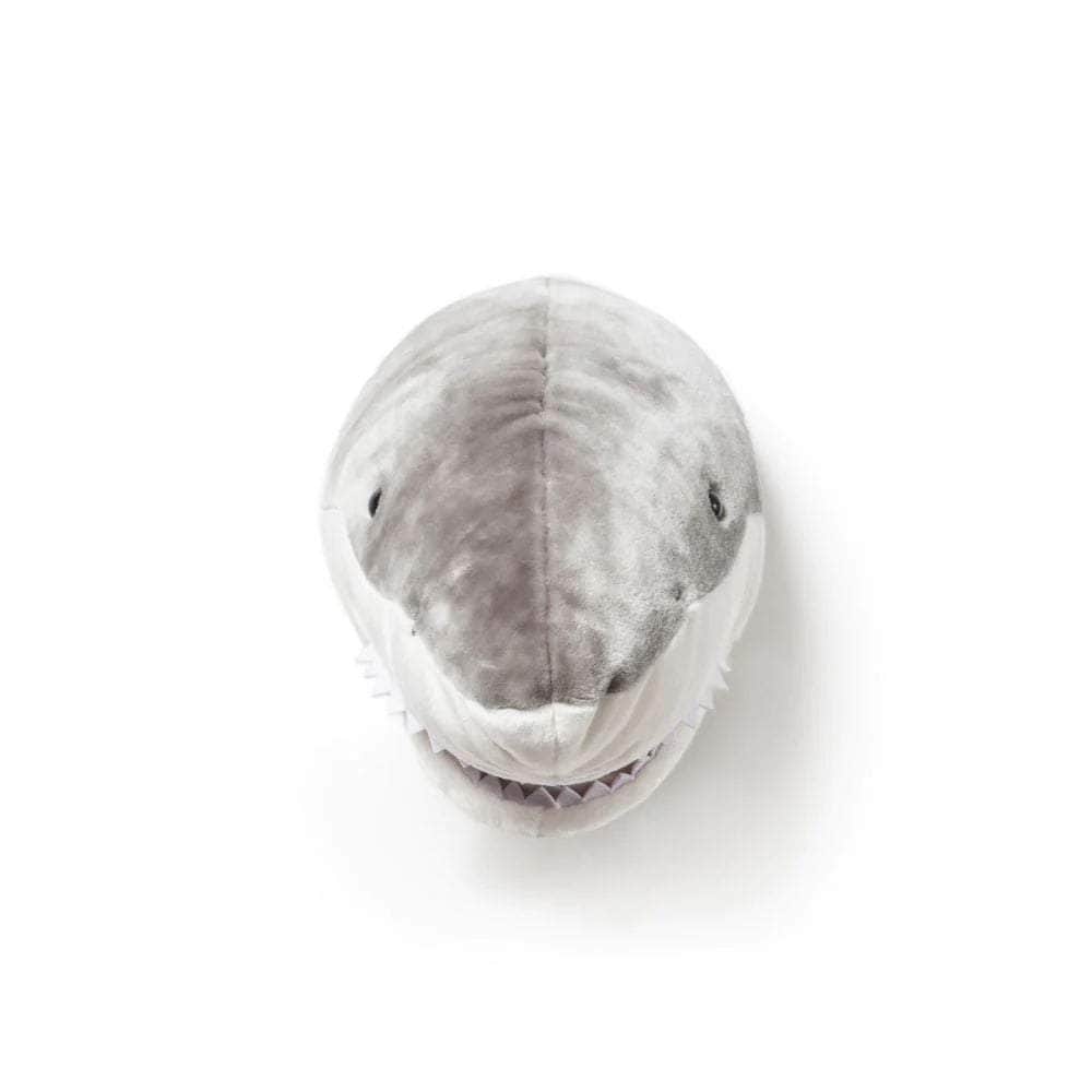 Jack the Shark Wall Mounted Plush Head