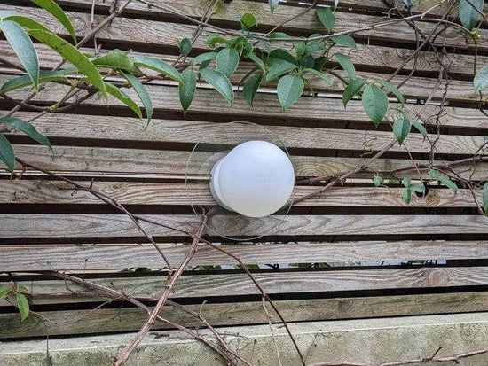 Glass opal disk wall light