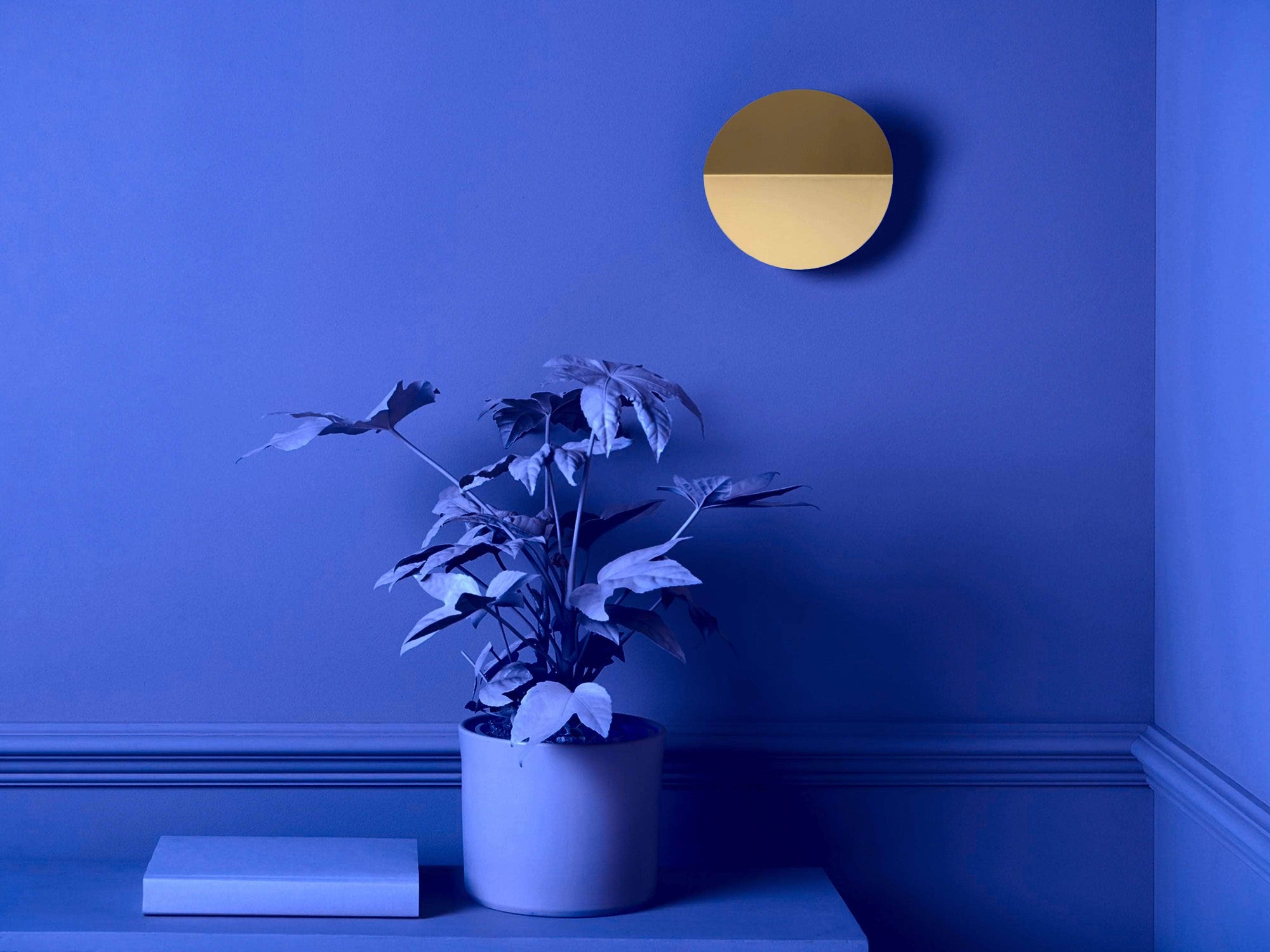 Brass diffuser wall light