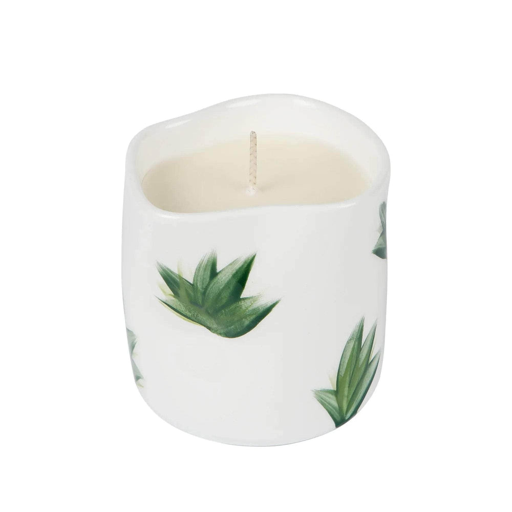 Plants Candle