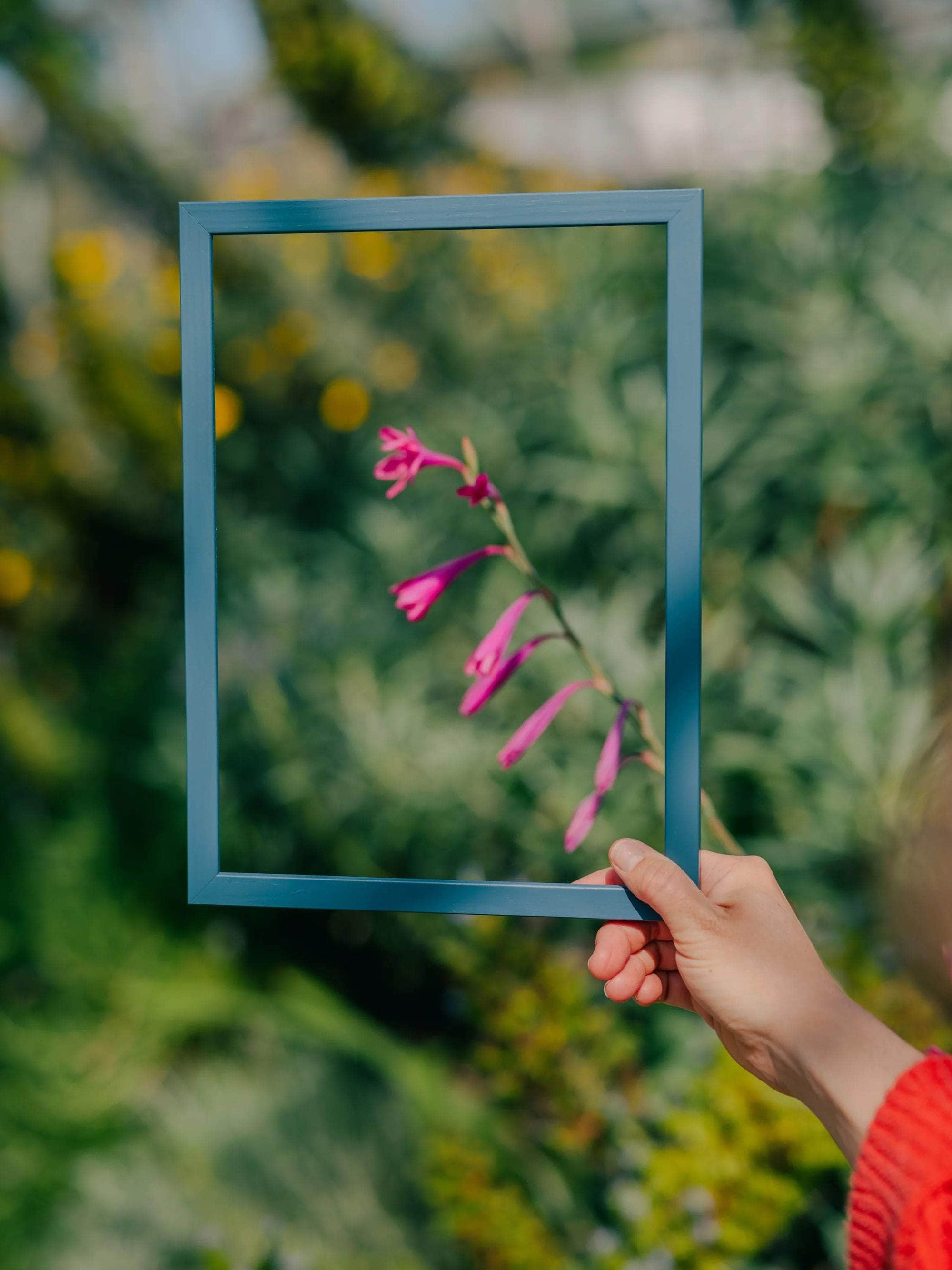 Petrol Blue Solid Wood Frame