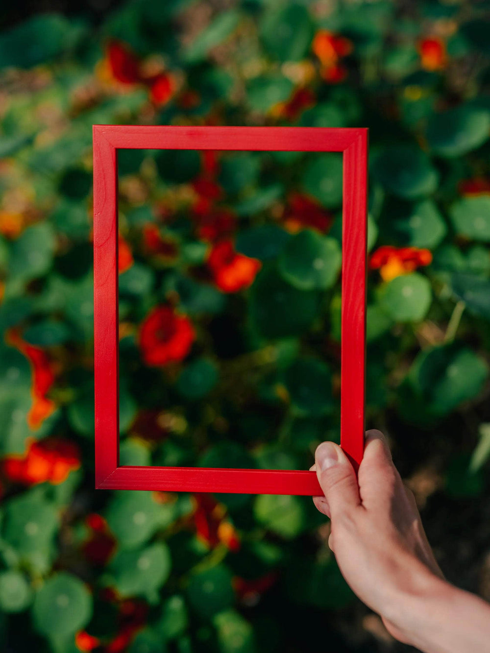 Venetian Red Solid Wood Frame