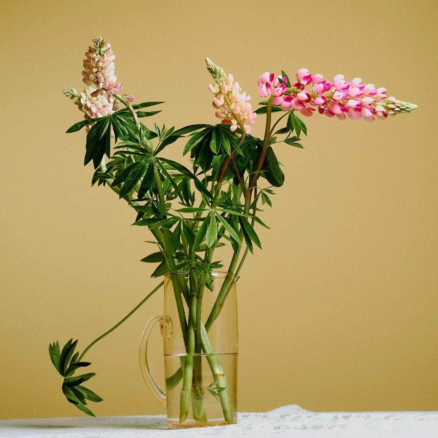 Lemonade Jug - Rose
