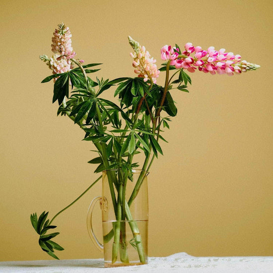Lemonade Jug - Rose