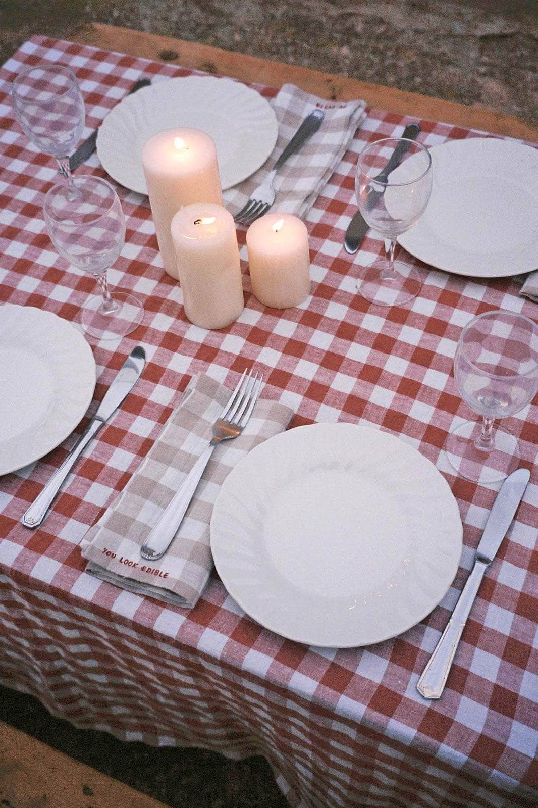 Gingham Gratitude Napkins - Set of 4