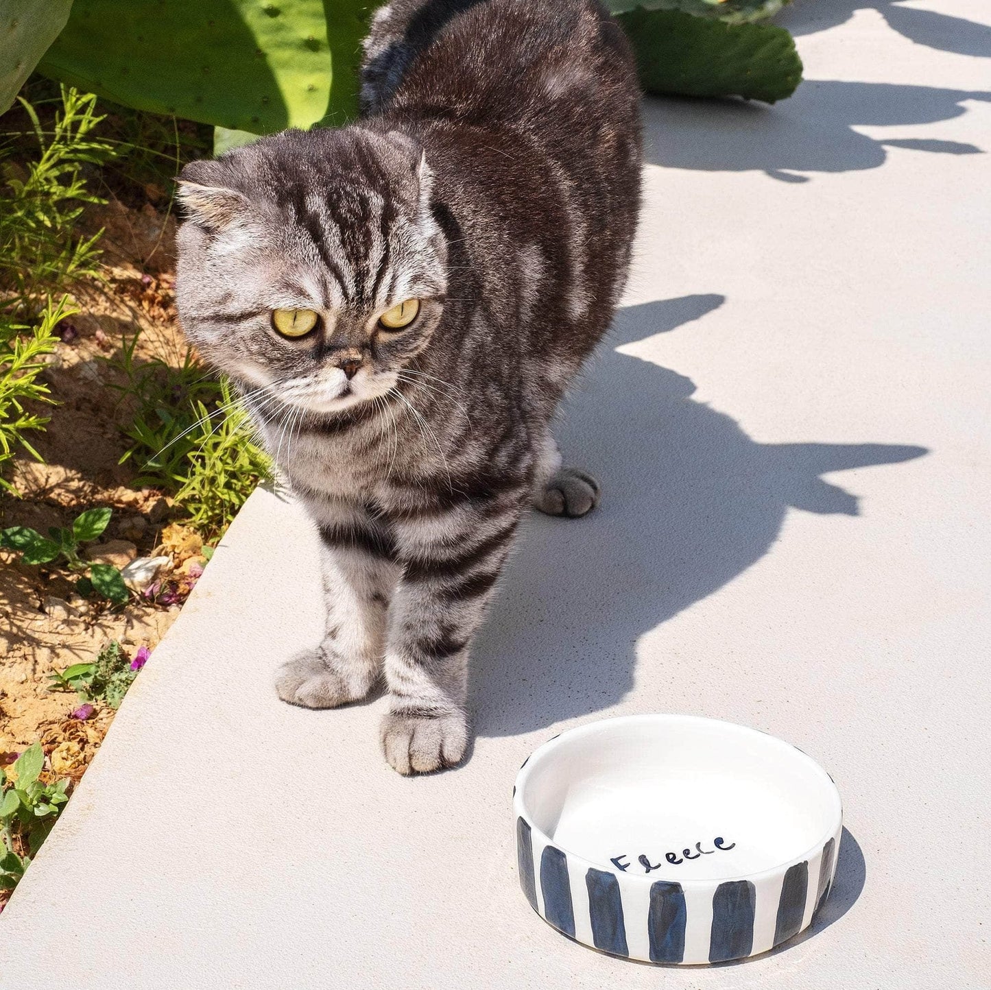 Black and White Striped Pet Bowl