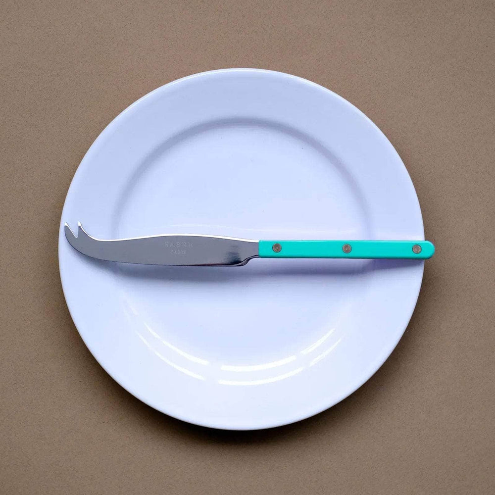 Bistrot Cheese Knife | Turquoise
