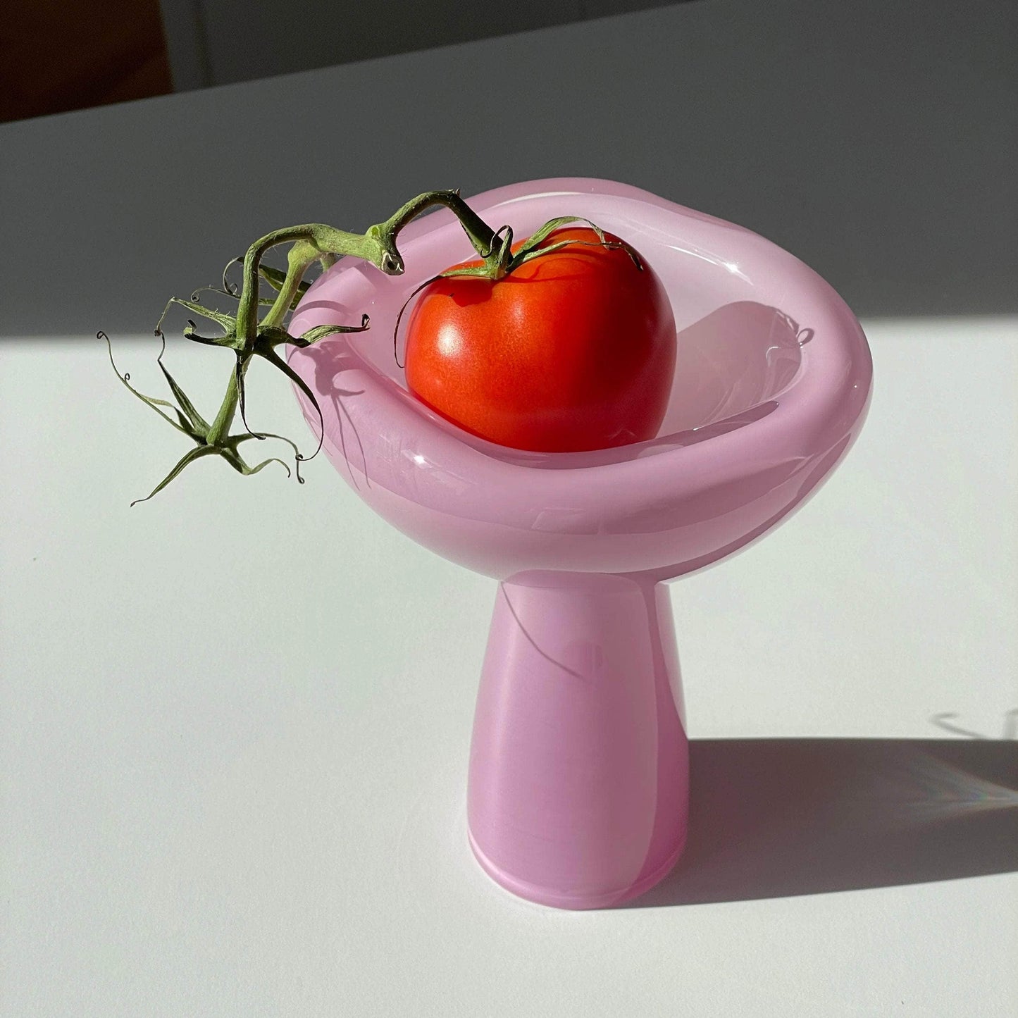 Phantom Dish Pink