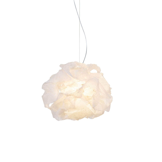 Transcendence 1 Light