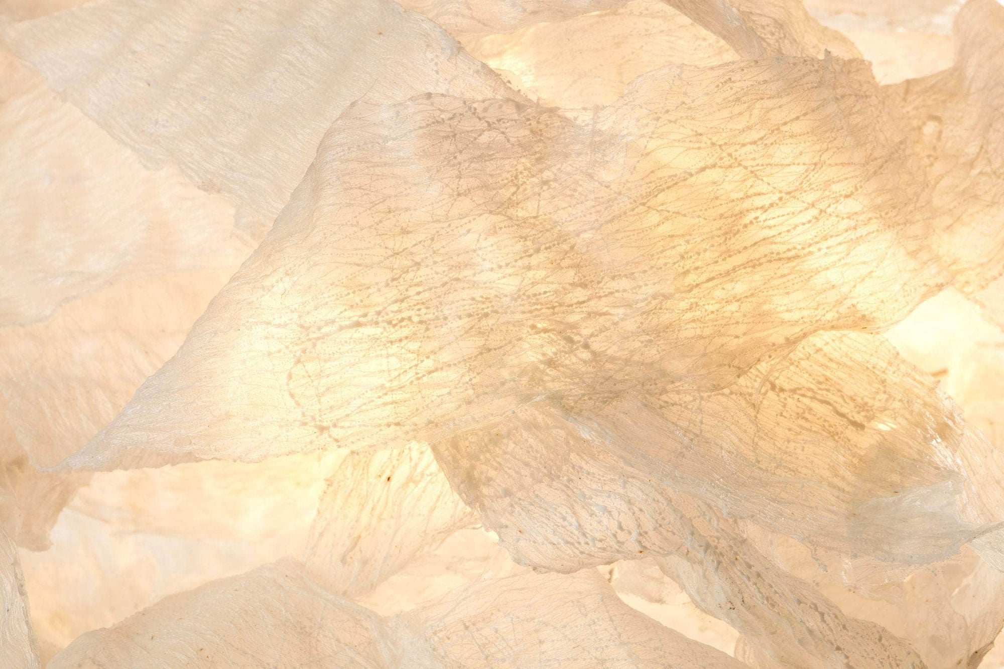 Transcendence 2 Pendant Light