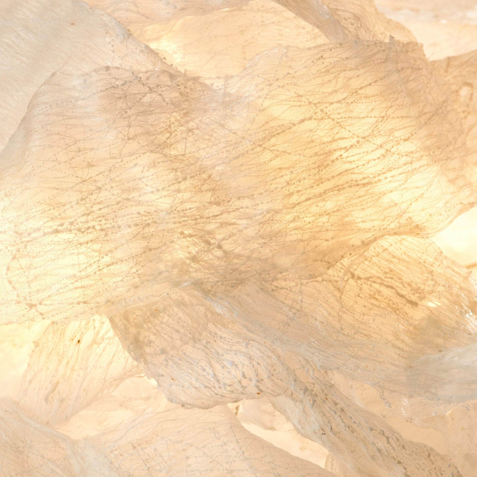 Transcendence 1 Light