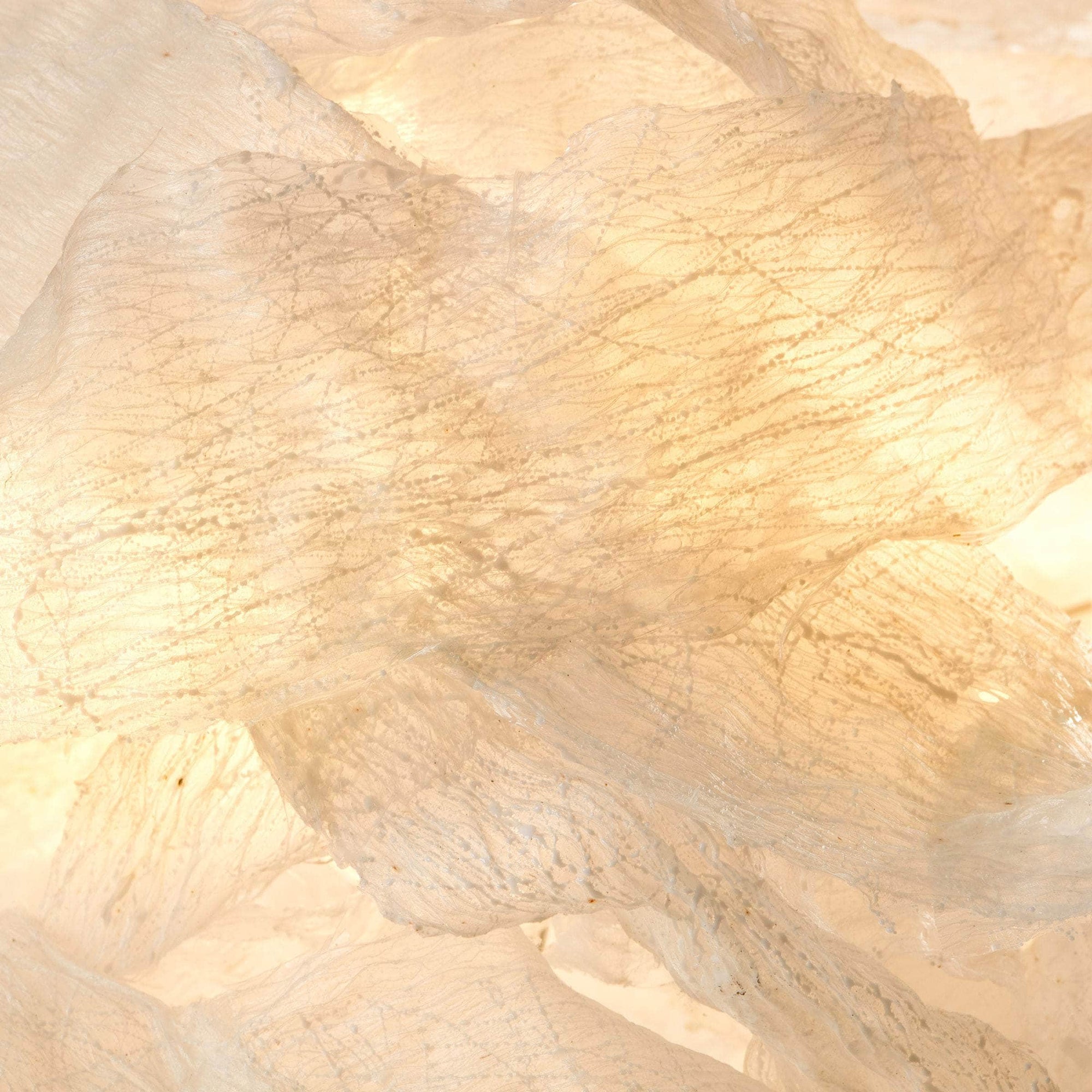 Transcendence 1 Light