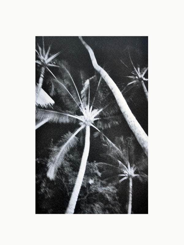 Cahiers d'Art Revue No. 1 2012: Ellsworth Kelly Book